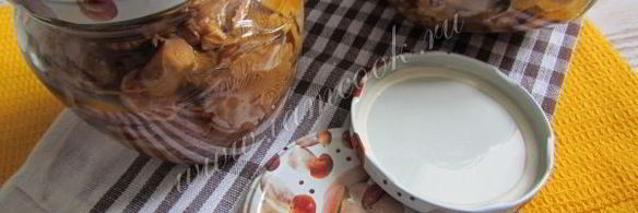 маринованные лисички на зиму