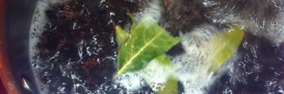 маринованные маслята