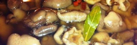 маринованные маслята