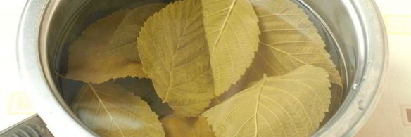 маринованные огурцы по-польски