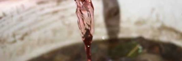 маринованные подосиновики и белые грибы