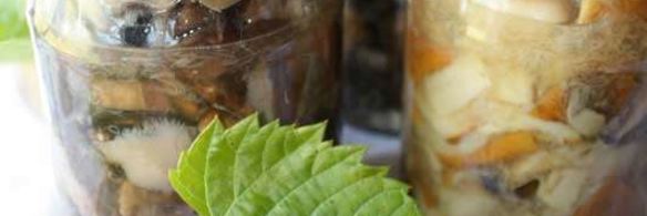 маринованные подосиновики и белые грибы