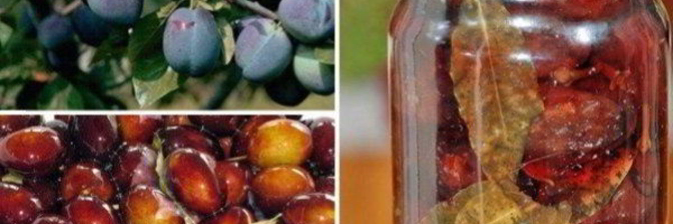 Маринованные сливы на зиму