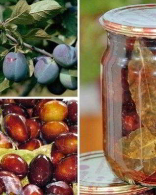 Маринованные сливы на зиму