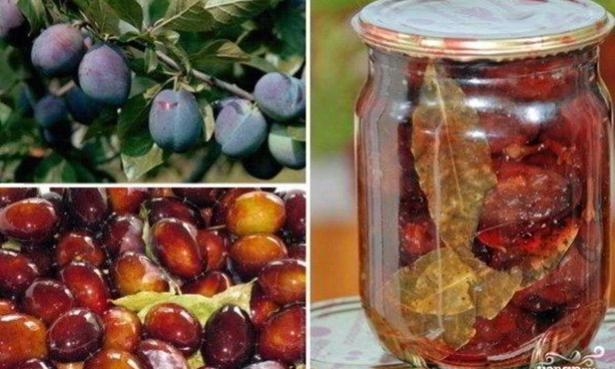 Рецепт маринованных слив на зиму