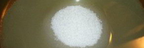 маринованные сливы на зиму