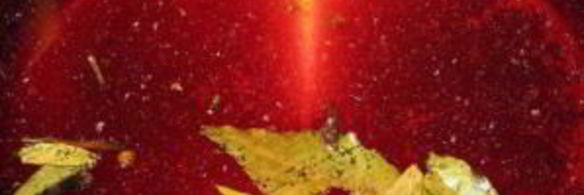 маринованные сливы на зиму