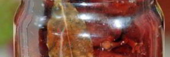 маринованные сливы на зиму