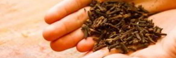 маринованные соленые лимоны