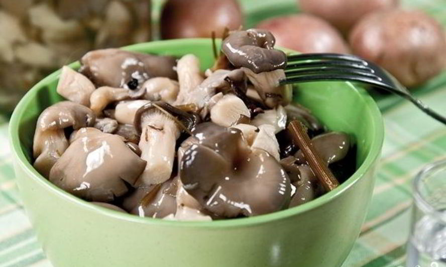 Рецепт маринованных вешенок