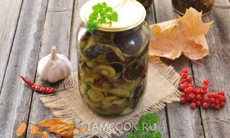 Рецепт моховиков маринованных