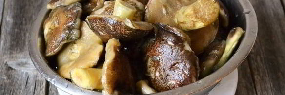 моховики маринованные