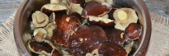 моховики маринованные