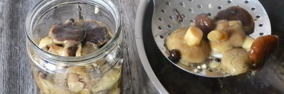 моховики маринованные