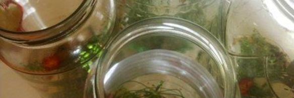 огурцы маринованные на зиму