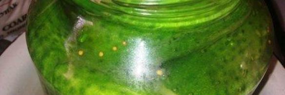 огурцы маринованные на зиму