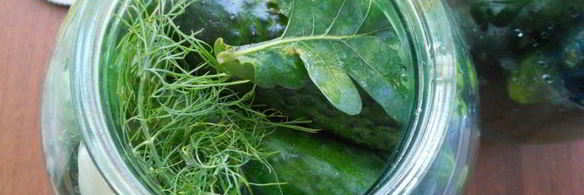 огурцы маринованные с зернами горчицы и паприкой на зиму