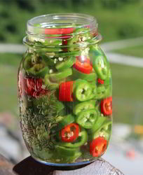 Маринованный перец