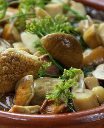 Маринованные грибы