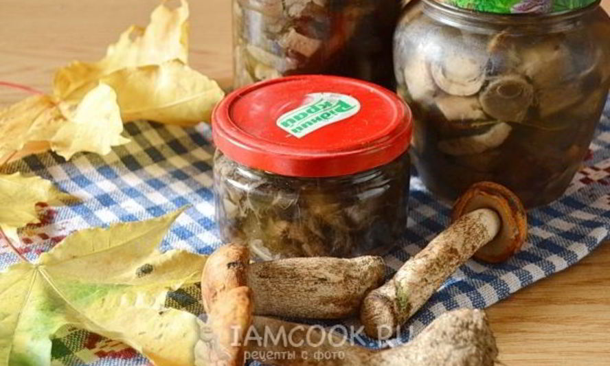 Рецепт подосиновиков маринованных на зиму без стерилизации