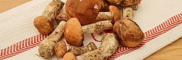 подосиновики маринованные на зиму без стерилизации