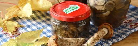 подосиновики маринованные на зиму без стерилизации