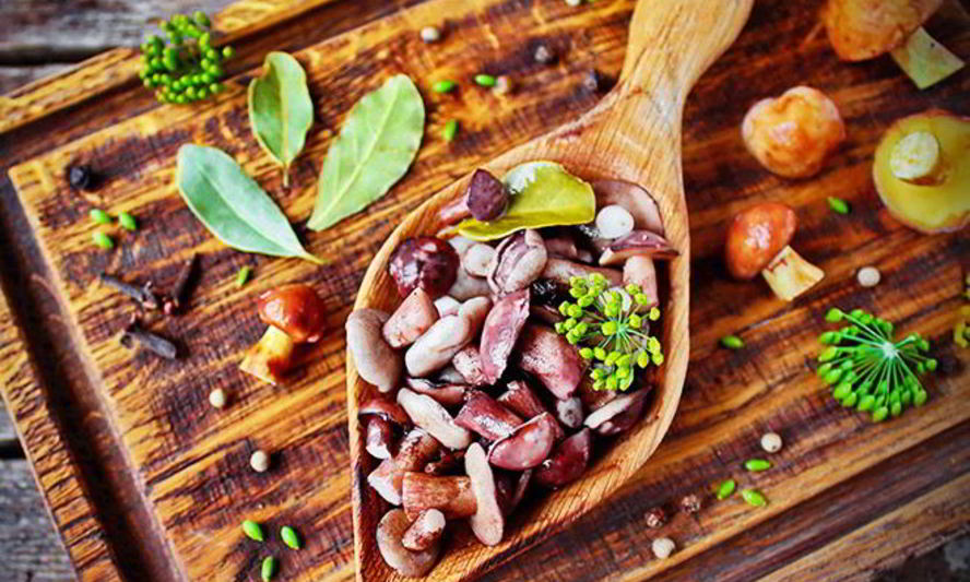 Рецепт маслят на зиму