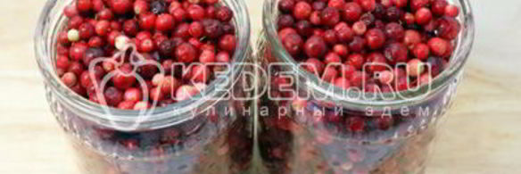 моченая брусника на зиму