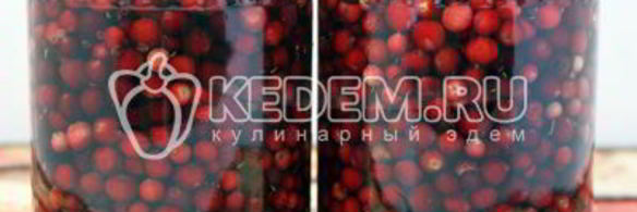 моченая брусника на зиму