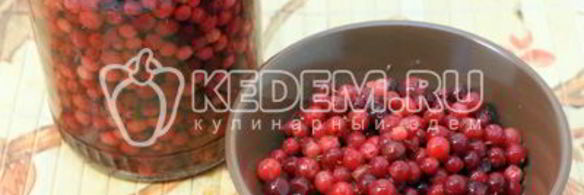 моченая брусника на зиму