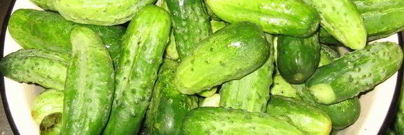 огурчики чили на зиму