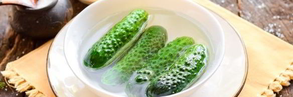 огурцы улет на зиму