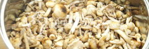 опята душистые