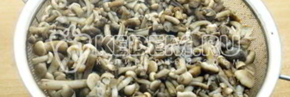 опята душистые