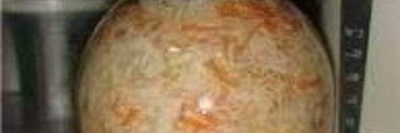 капуста горячей заливки