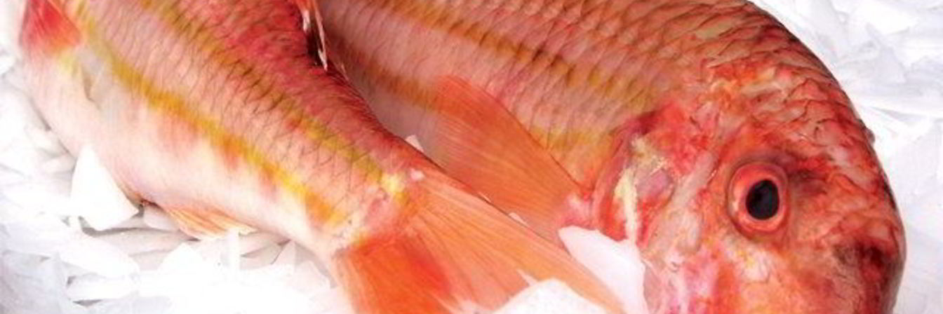 Кефаль соленая