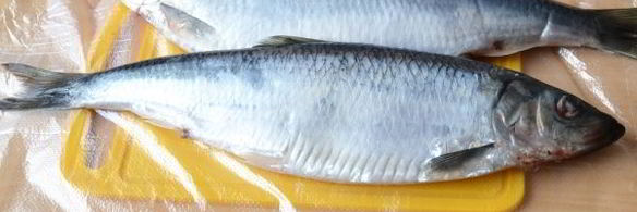 малосольная селедка для праздника