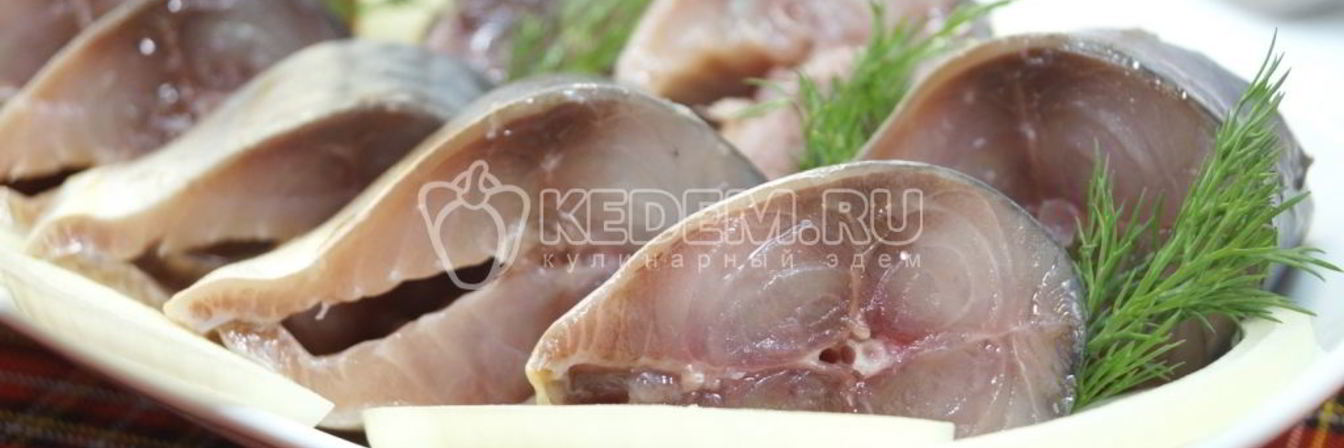 Малосольная скумбрия