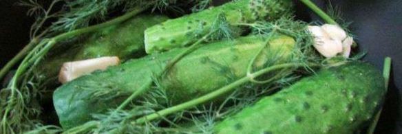 малосольные огурчики в минеральной воде