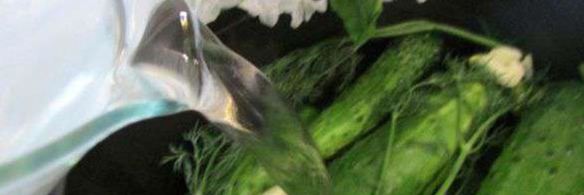 малосольные огурчики в минеральной воде