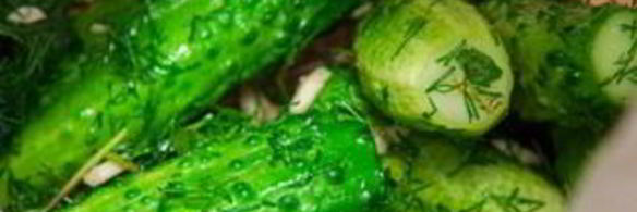 малосольные огурчики в пакете