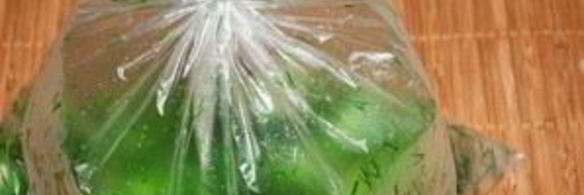 малосольные огурчики в пакете