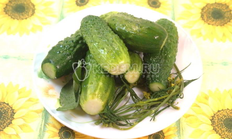 Рецепт малосольных огурчиков