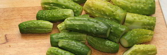 малосольные огурцы холодного засола