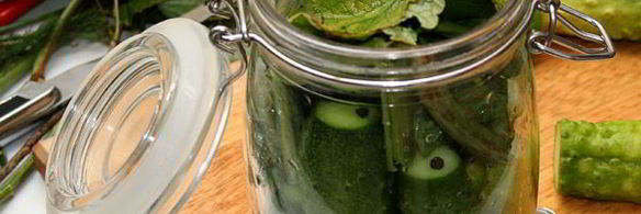 малосольные огурцы холодного засола