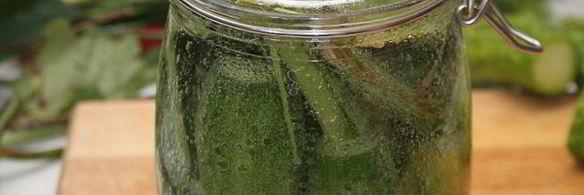 малосольные огурцы холодного засола