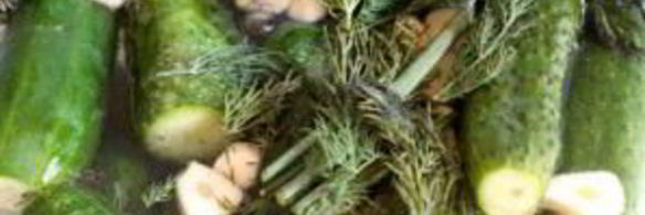 малосольные огурцы на минеральной воде