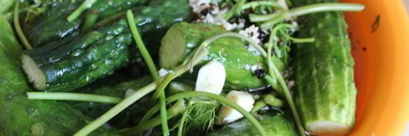 малосольные огурцы с молодой капустой