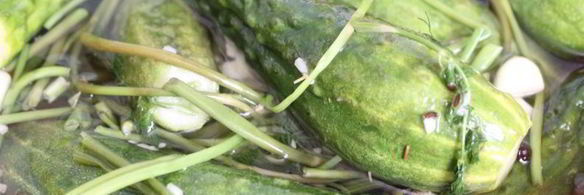 малосольные огурцы с молодой капустой