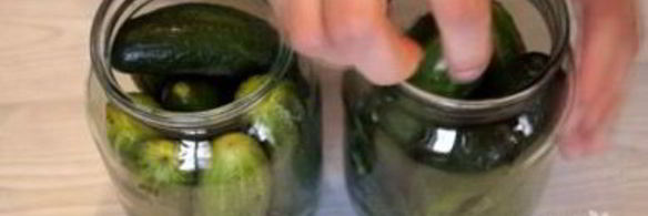 малосольные огурцы в банке
